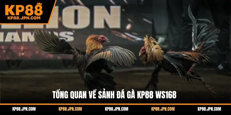 da-ga-kp88-sanh-ws168